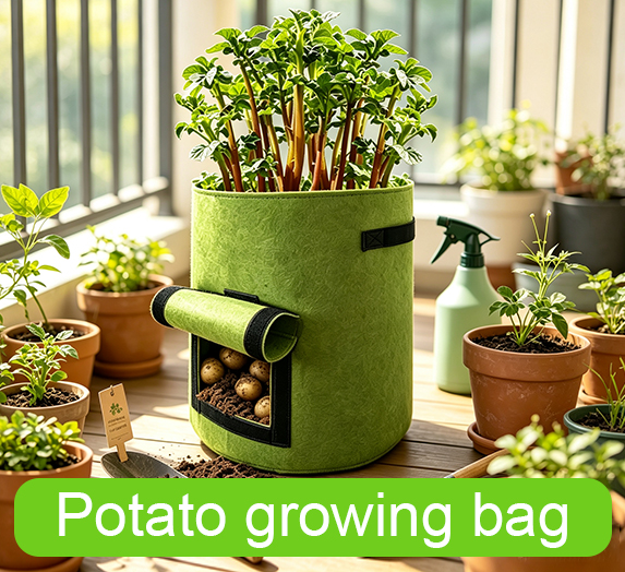 Potato Bag